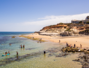 a beach in summer