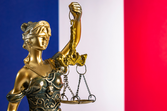 SFT stands up for court professionals